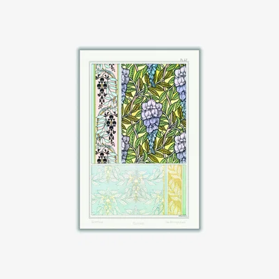 Wolf & Badger Glycine Wisteria Ii Print By Maurice Pillard Verneuil A2 420 X 594Mm Stanley Print House