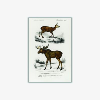 Wolf & Badger Brown Natural History Deer & Moose Large Stanley Print House