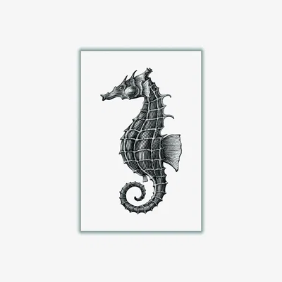 Wolf & Badger Black Seahorse Extra Large Stanley Print House