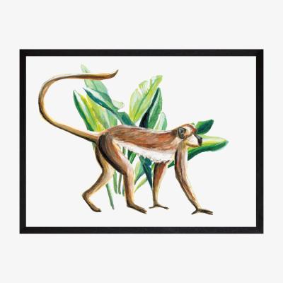 Wolf & Badger White Monkey Fine Art Print A3 Catchii
