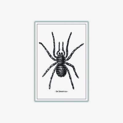 Wolf & Badger Black The Tarantula A1 594 X 841Mm Stanley Print House