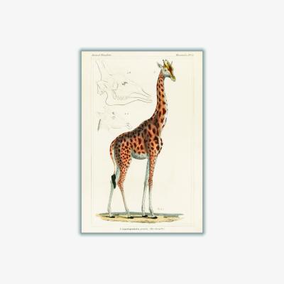 Wolf & Badger Gold Animal Kingdom - The Giraffe Extra Large Stanley Print House