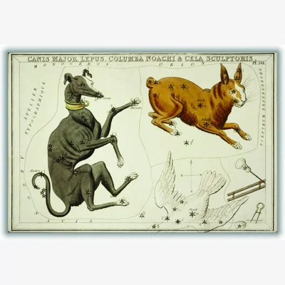 Wolf & Badger Astronomical Chart Illustration Of The Canis Major, Lepus, Columba Noachi And The Cela Sculptoris Xxs Stanley Print House
