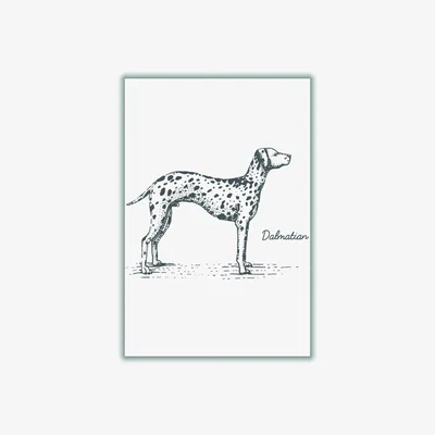 Wolf & Badger Grey Dalmation Small Stanley Print House