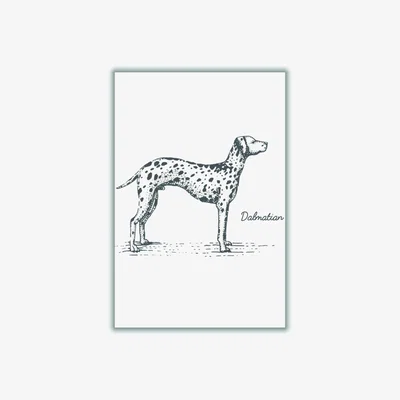 Wolf & Badger Grey Dalmation A1 594 X 841Mm Stanley Print House