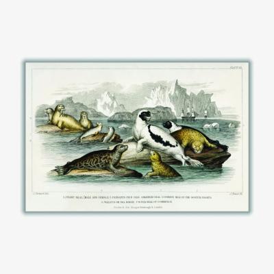 Wolf & Badger Neutrals Various Types Of Seal A1 594 X 841Mm Stanley Print House