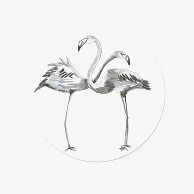 Wolf & Badger Grey Circle Wall Sticker Black & White Flamingos Catchii