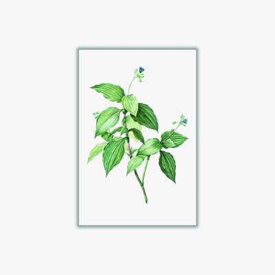 Wolf & Badger Green Vintage Botanical Plant A1 594 X 841Mm Stanley Print House