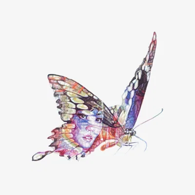 Wolf & Badger Butterfly Lover Zhu Yintai Jane Lee Mccracken