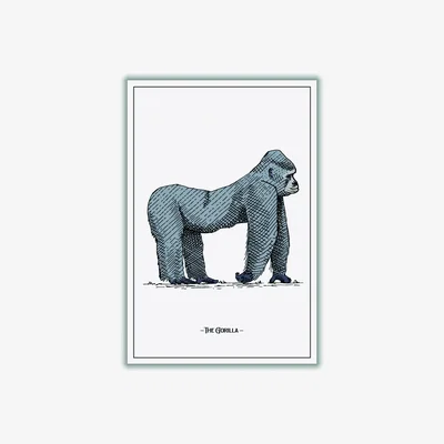 Wolf & Badger Grey The Gorilla A3 297 X 420Mm Stanley Print House