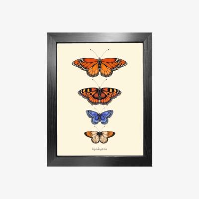 Wolf & Badger Gold 'Antique British Butterflies Iii' Fine Art Print A5 Emily Carter