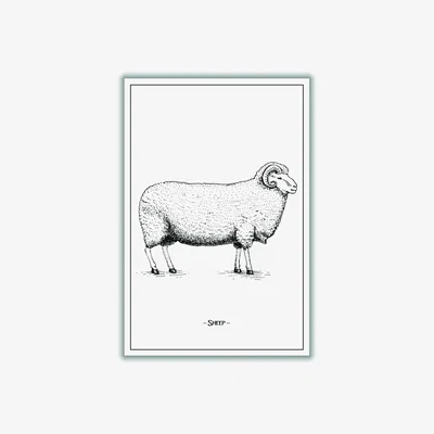 Wolf & Badger Grey Sheep Xxs Stanley Print House