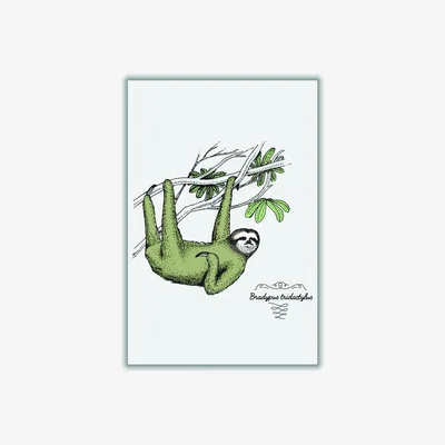 Wolf & Badger Green Sloth Large Stanley Print House