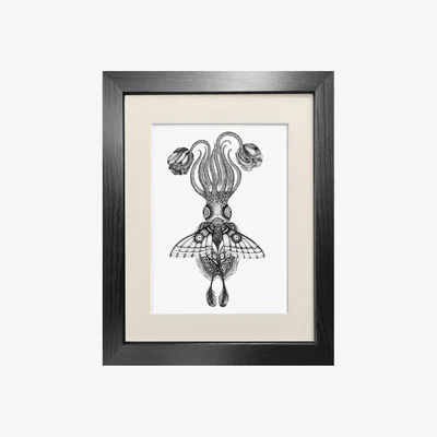 Wolf & Badger Black Tethidadoptera Fine Art Print A3 Emily Carter
