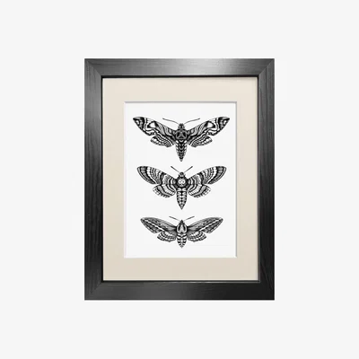 Wolf & Badger Black 'Hawk Moths' - Fine Art Print A5 Emily Carter