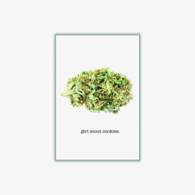 Wolf & Badger Green Girl Scout Cookies Bud Name A3 297 X 420Mm Stanley Print House