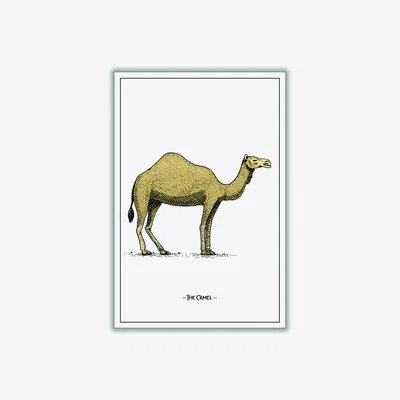 Wolf & Badger Brown The Camel A2 420 X 594Mm Stanley Print House