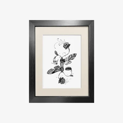 Wolf & Badger Black 'Fuchsiadoptera' Fine Art Print A4 Emily Carter