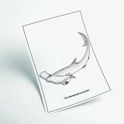 Wolf & Badger Grey The Hammerhead Shark A3 297 X 420Mm Stanley Print House