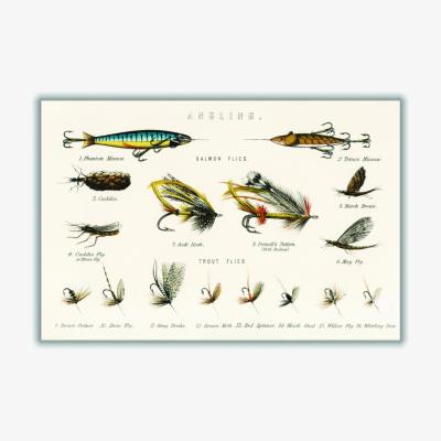 Wolf & Badger Yellow / Orange Fishing - Lures & Bait A3 297 X 420Mm Stanley Print House