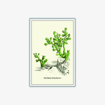 Wolf & Badger Green The Prickly Pear Cactus A3 297 X 420Mm Stanley Print House
