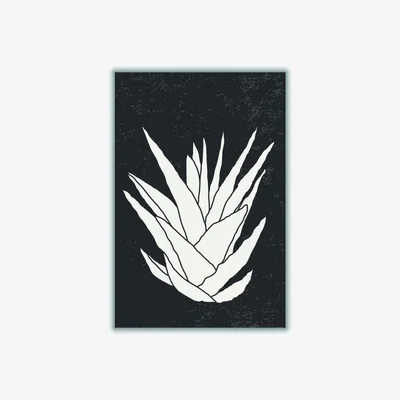 Wolf & Badger Black Agave #2 A3 297 X 420Mm Stanley Print House