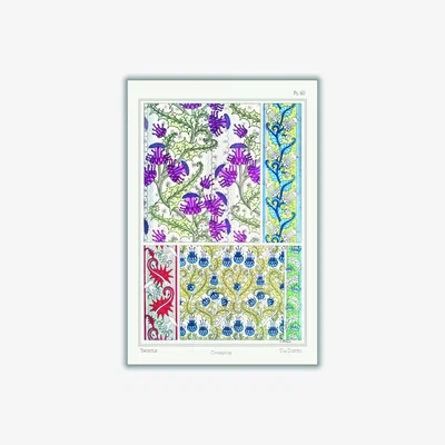 Wolf & Badger Chardon Thistle Iii Print By Maurice Pillard Verneuil A2 420 X 594Mm Stanley Print House
