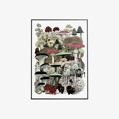 Wolf & Badger Mushroom Bloom - Art Print S | A3 | 297 X 420Mm | Abi Overland Jersey