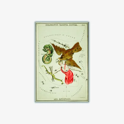 Wolf & Badger Yellow / Orange Astronomical Chart Illustration Of The Delphinus - Sagitta - Aquila A1 594 X 841Mm Stanley Print House