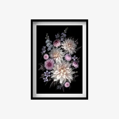 Wolf & Badger Black / Pink / Purple Dahlia Print A3 297 X 420Mm Francesca Wild