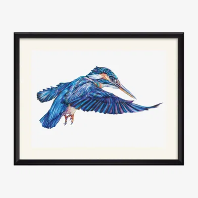 Wolf & Badger Kingfisher Art Print Claudine O'sullivan Illustration & Design