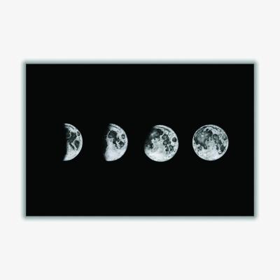 Wolf & Badger Grey Lunar Phases Xxs Stanley Print House