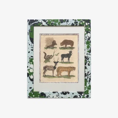 Wolf & Badger Green / Blue Buffon Print No. Three In Glacier Frame Wildmore