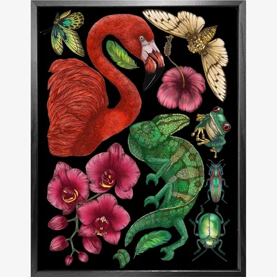 Wolf & Badger Antique Tropical Flora & Fauna - Black Fine Art Print A4 Emily Carter