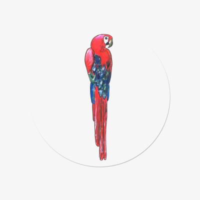 Wolf & Badger Circle Wall Sticker Parrot Red Catchii