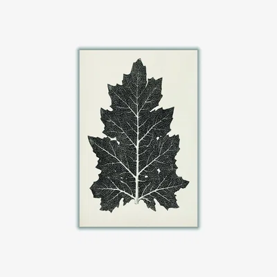 Wolf & Badger Black Vintage Leaf Small Stanley Print House