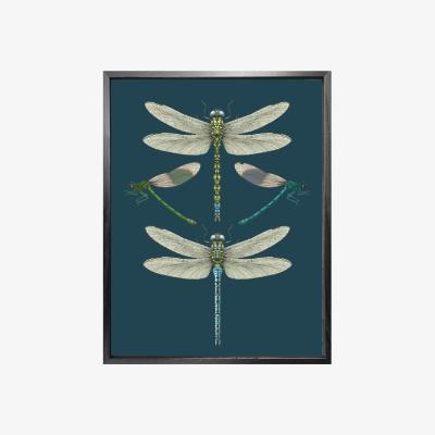 Wolf & Badger 'Dragonflies & Damselflies - Navy' Fine Art Print A5 Emily Carter
