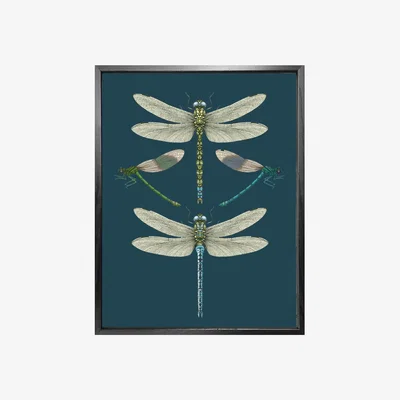 Wolf & Badger 'Dragonflies & Damselflies - Navy' Fine Art Print A5 Emily Carter