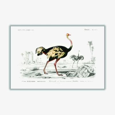 Wolf & Badger Black Ostrich Extra Large Stanley Print House