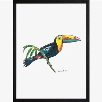 Wolf & Badger Toucan Fine Art Print A3 Catchii