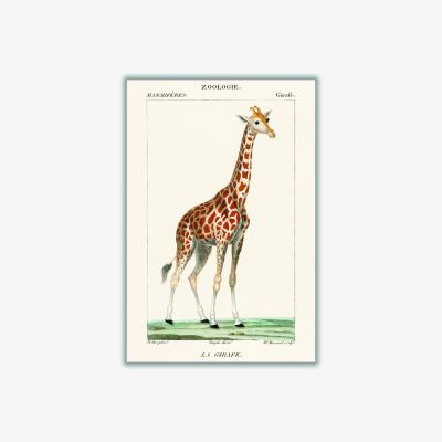 Wolf & Badger Gold Giraffe Illustration Large Stanley Print House