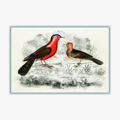 Wolf & Badger Yellow / Orange Hand Drawn Sketch Of Birds A3 297 X 420Mm Stanley Print House