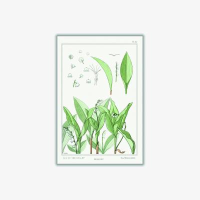 Wolf & Badger Green Muguet Lily Of The Valley Iii By Maurice Pillard Verneuil A4 210 X 297Mm Stanley Print House