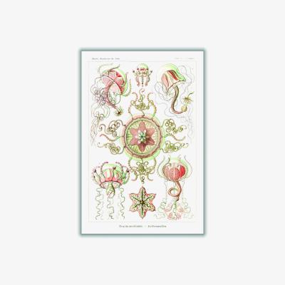 Wolf & Badger Rose Gold Trachomedusae-Kolbenquallen By Ernst Haeckel A4 210 X 297Mm Stanley Print House