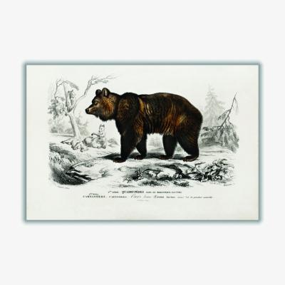 Wolf & Badger Brown Bear Small Stanley Print House