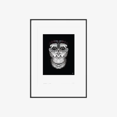 Wolf & Badger Curious Creatures Series - Chimp Champ Print - Black Curiosity Snug