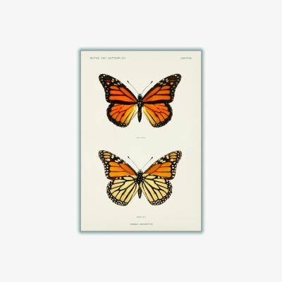 Wolf & Badger Monarch Butterfly Vintage Large Stanley Print House