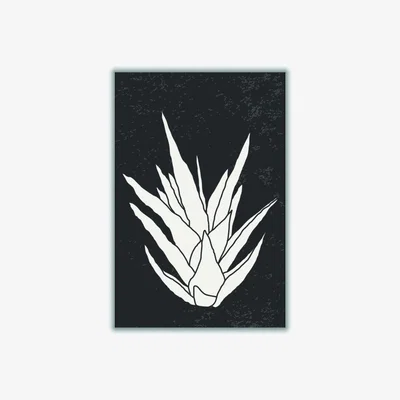Wolf & Badger Black Agave #3 A2 420 X 594Mm Stanley Print House