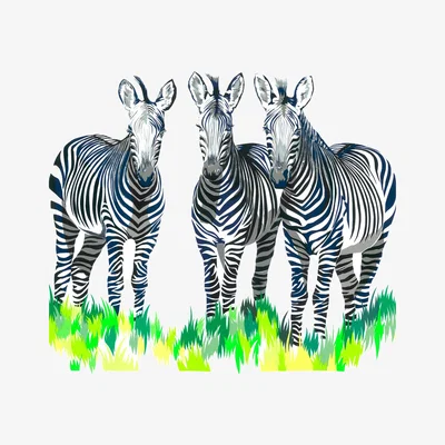 Wolf & Badger White Zebra Limited Edition Giclee Fine Art Print Medium Chloe Croft London Limited