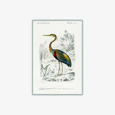 Wolf & Badger Purple Heron Extra Large Stanley Print House